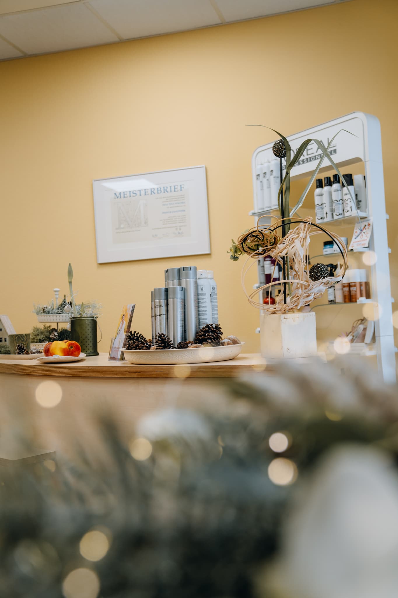 Mein professionelles Friseursalon Studio